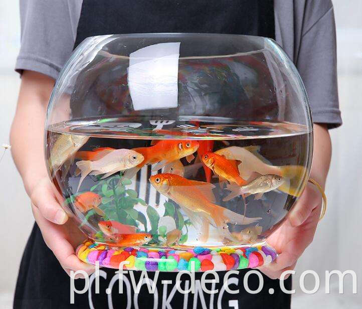 fish bowl